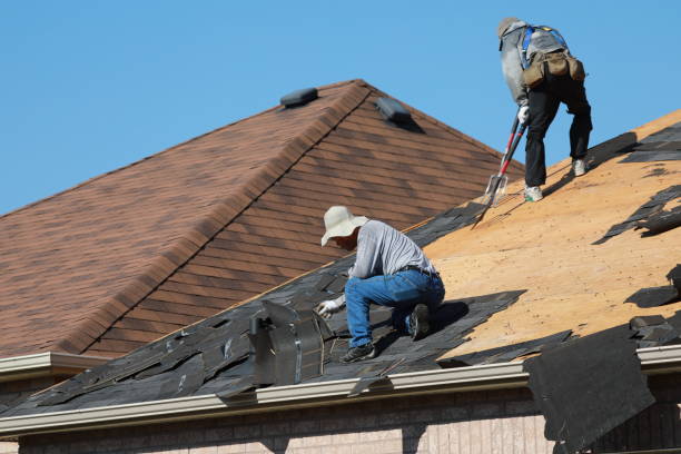 Best 4 Ply Roofing  in Lone Star, TX