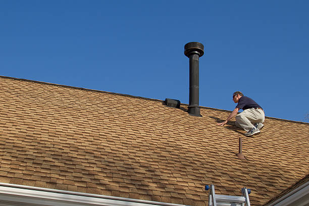 Best Solar Panel Roofing Installation  in Lone Star, TX